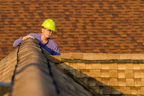 Best Roof Gutter Cleaning  in Aledo, TX